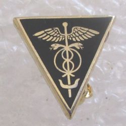 Delta sigma pi pledge pin