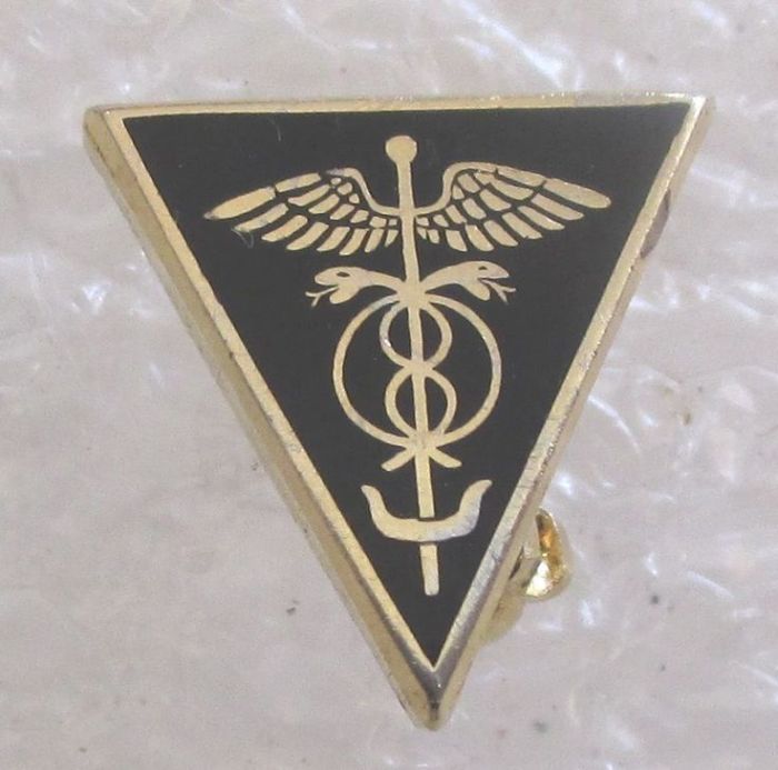 Delta sigma pi pledge pin