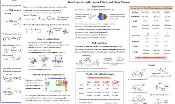 Naming nomenclature compounds functional chimie iupac organique chemie compound organische nomenklatur cheat molecular result biologie scolaires leçons cpsc mathématiques enregistrée