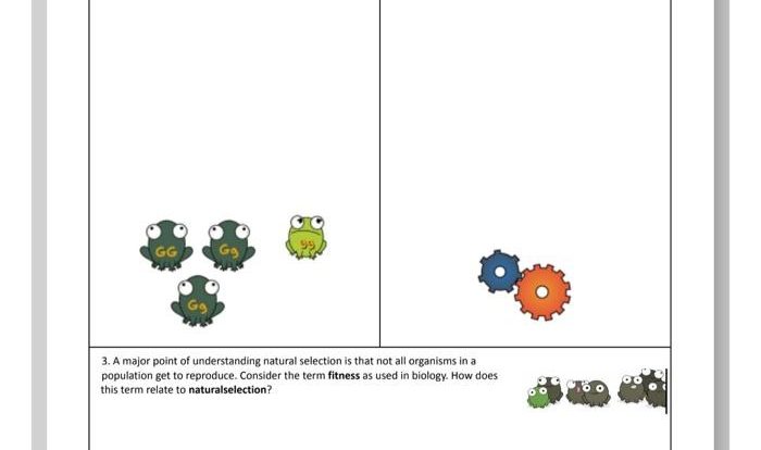 Amoeba sisters natural selection answer key