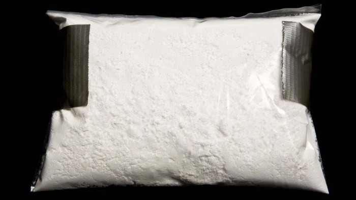 Cocaine kilo powder