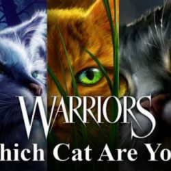 Who is your warrior cat mate quiz