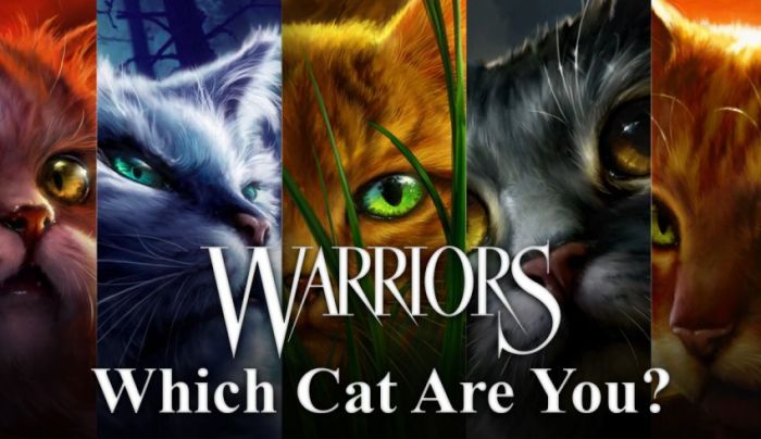 Who is your warrior cat mate quiz