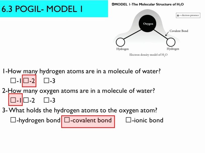 Properties of water worksheet biology