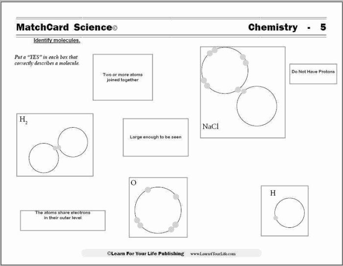 Properties of water worksheet biology