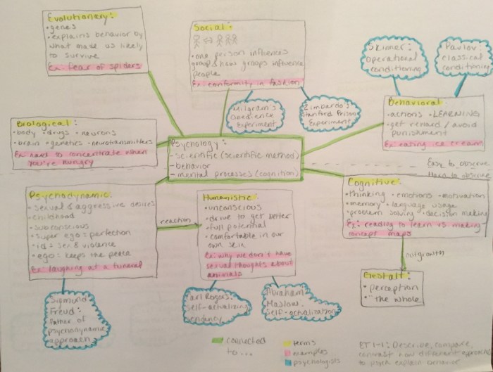 Ap psychology unit 8 clinical psychology practice test