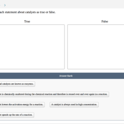 Catalysts true classify statement false each consumed lower transcribed text show chemical activation overall reactions reaction energy speed