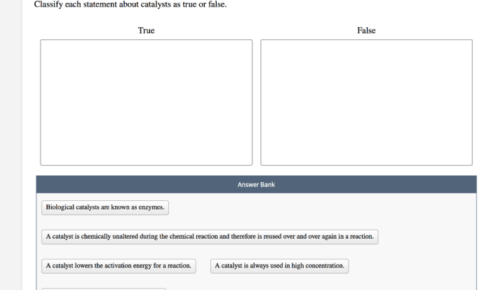 Catalysts true classify statement false each consumed lower transcribed text show chemical activation overall reactions reaction energy speed