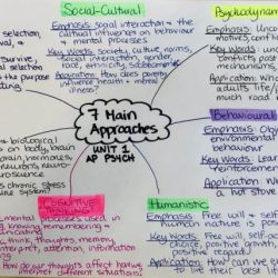 Ap psychology unit 8 clinical psychology practice test